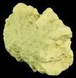 Sulfur Stalactite Formation - Louisiana #64097-1